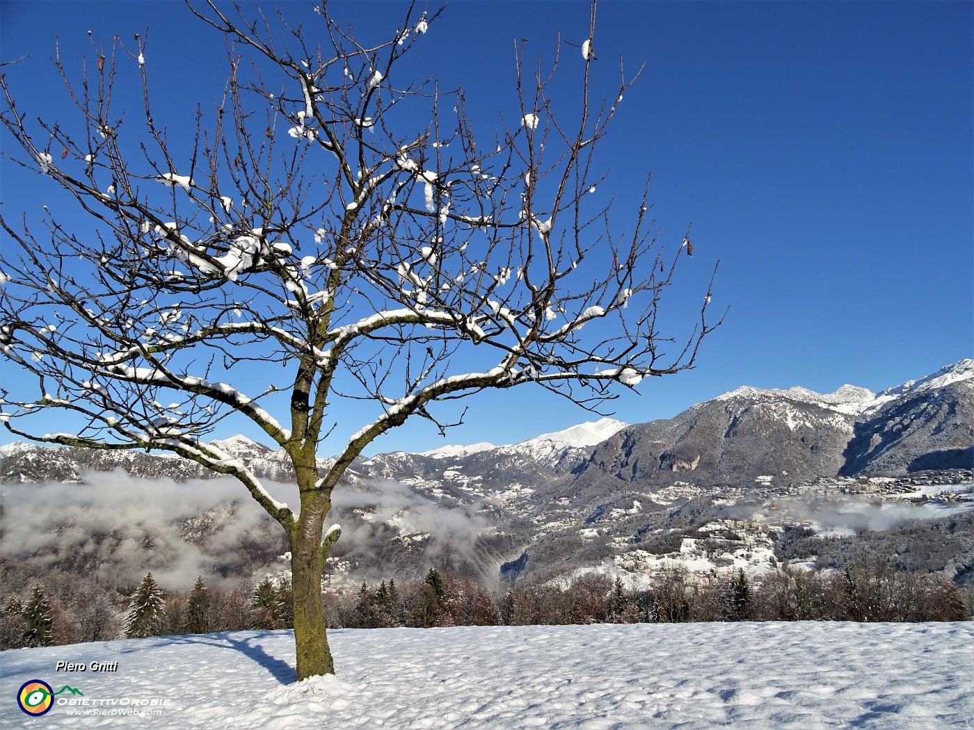 18 La neve si sta sciogliendo al sole.JPG